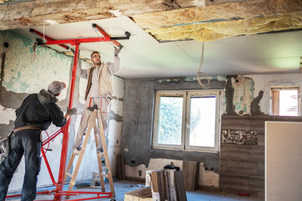 Best Professional Insulation Contractor  in Stonewall, MS
